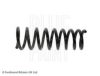 JAGUA XR811162 Coil Spring